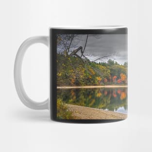 Walden Pond Fall Foliage Concord MA Mug